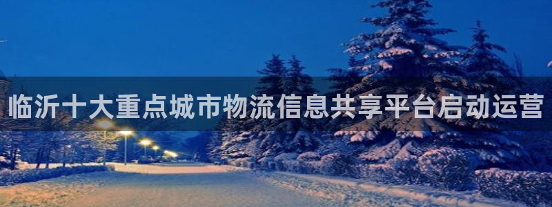 usdt什么币种