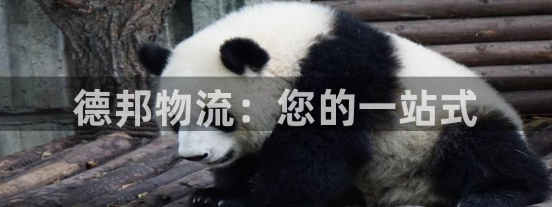 usdt钱包地址很多：德邦物流：您的