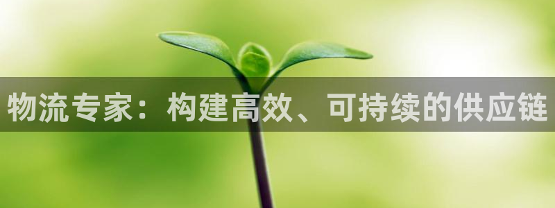 Usdt钱包怎么下载