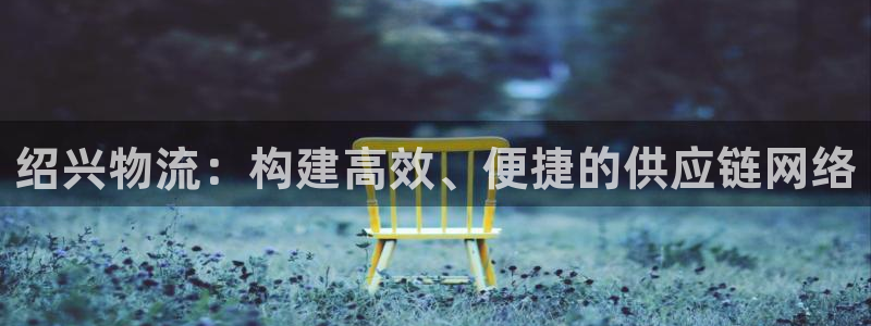 usdt 交易量：绍兴物流：构建高效