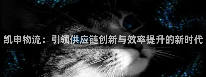 usdt钱包密码忘了怎么办：凯申物流