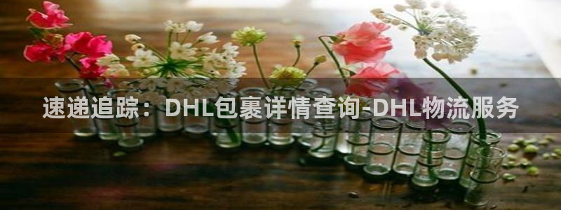 usdt钱包注册下载：速递追踪：DH