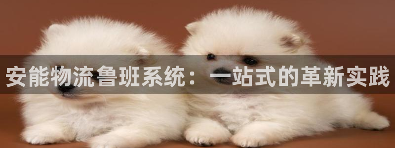 usdt钱包注册流程教程：安能物流鲁