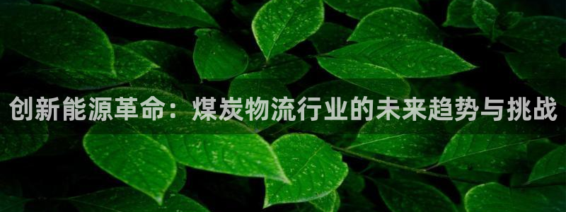 usdt记录查询