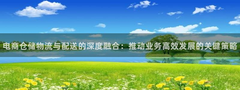 usdt下载苹果：电商仓储物流与配送