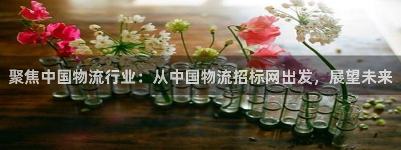 USDT钱包地址在哪里看：聚焦中国物