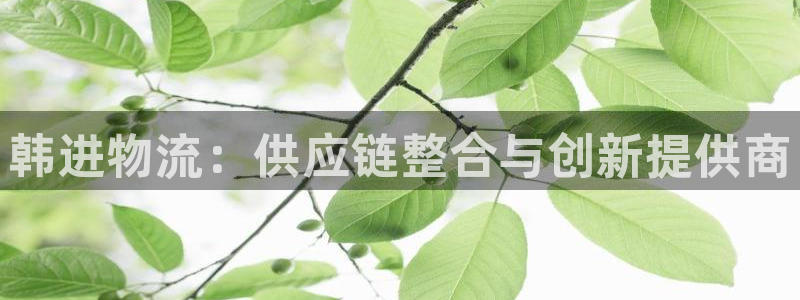 usdt冻结银行卡：韩进物流：供应链
