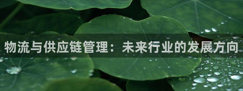 usdt交易规则：物流与供应链管理：