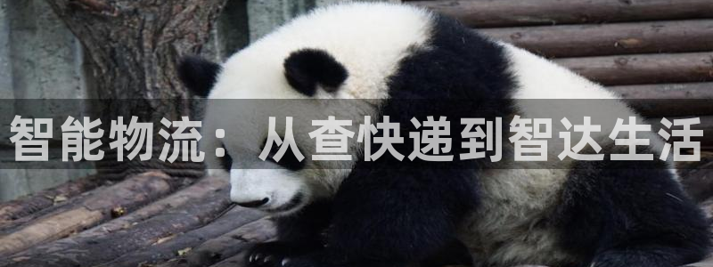 usdt交易密码多少个：智能物流：从