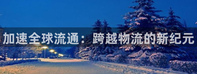 usdt usd汇率：加速全球流通：