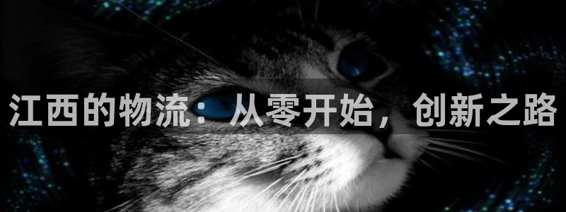 usdt币数量：江西的物流：从零开始