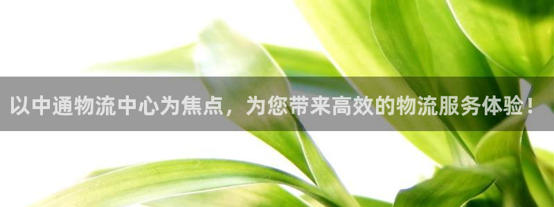 usdt地址区别