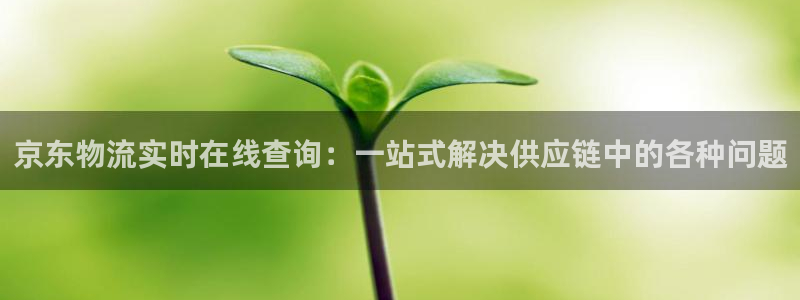 USDT官网中文版下载：京东物流实时