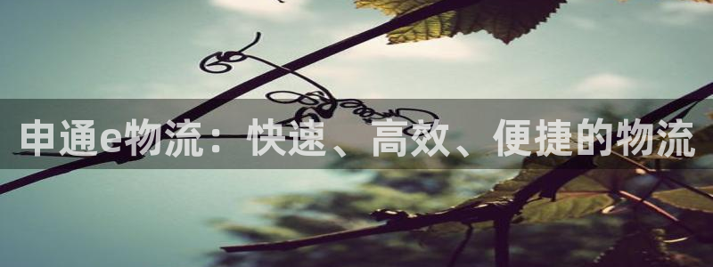 usdt什么币种：申通e物流：快速、