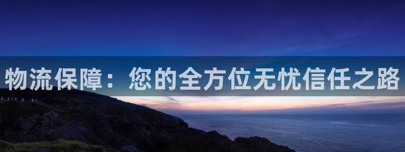usdt怎么转usdk：物流保障：您