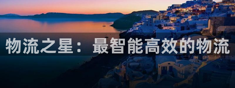 usdt官网下载安装：物流之星：最智