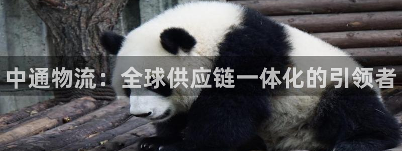 usdt官网入口：中通物流：全球供应