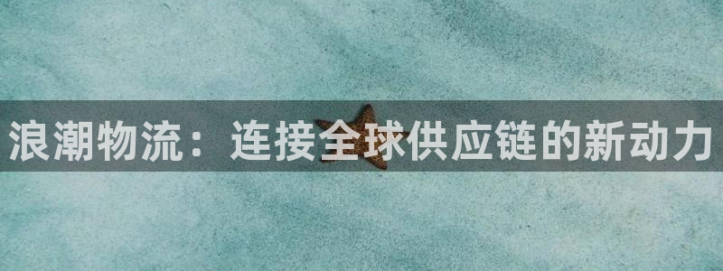 usdt提现人民币视频：浪潮物流：连