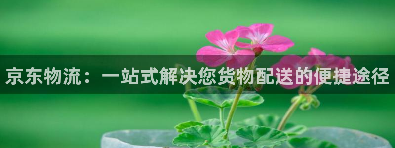usdt买卖算犯法吗：京东物流：一站