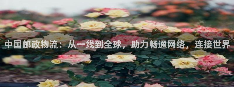 usdt交易能查得出来吗：中国邮政物