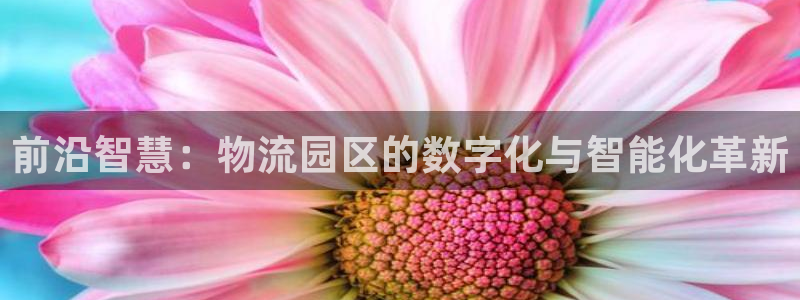 usdt在什么平台上可以买：前沿智慧