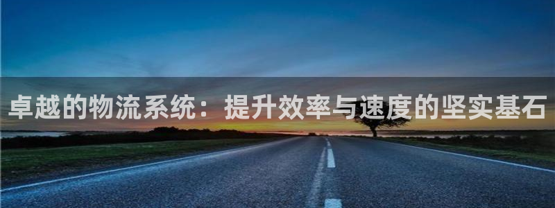 怎样注册usdt：卓越的物流系统：提
