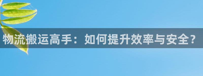 usdt会不会归零：物流搬运高手：如