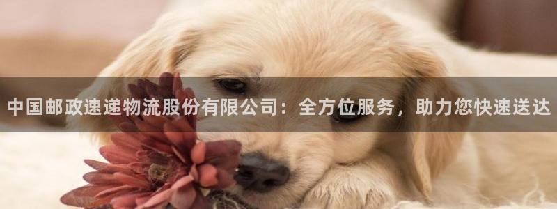 usdt钱包地址映射：中国邮政速递物