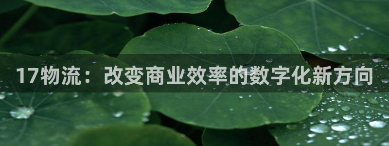 usdt地址查询网站：17物流：改变
