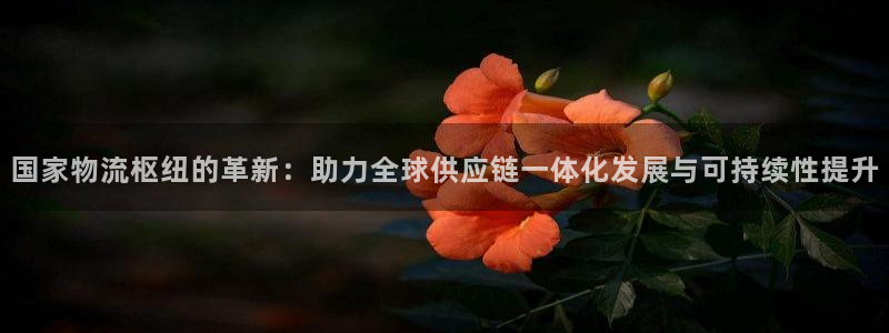 怎么下载usdt钱包：国家物流枢纽的