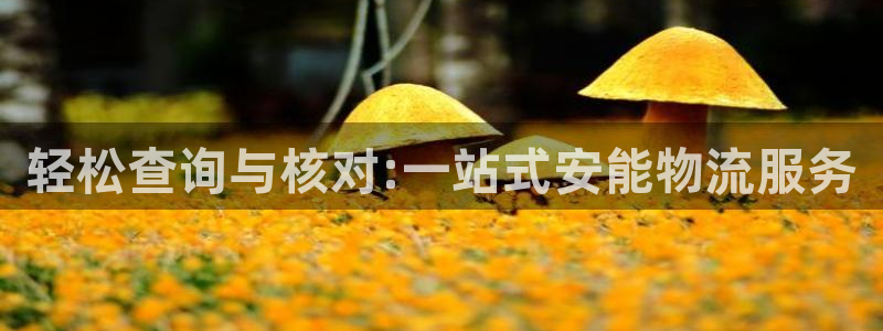 如何查询usdt转账进度：轻松查询与