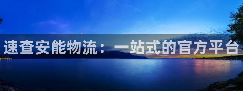 usdt交易e语言源码：速查安能物流
