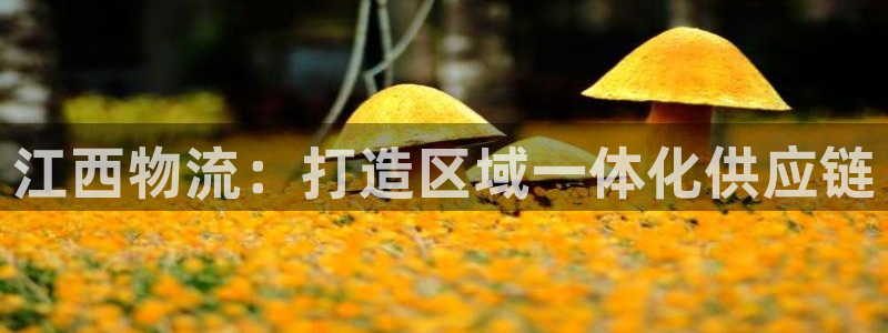 usdt数字货币钱包：江西物流：打造