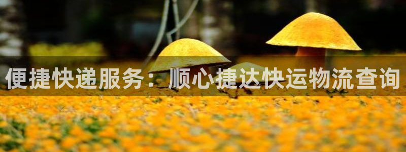 官方usdt钱包app：便捷快递服务