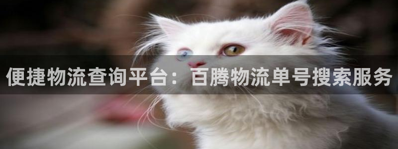 usdt交易平台软件苹果：便捷物流查